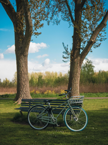 Park Bench