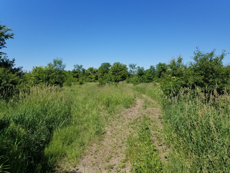 Paths
